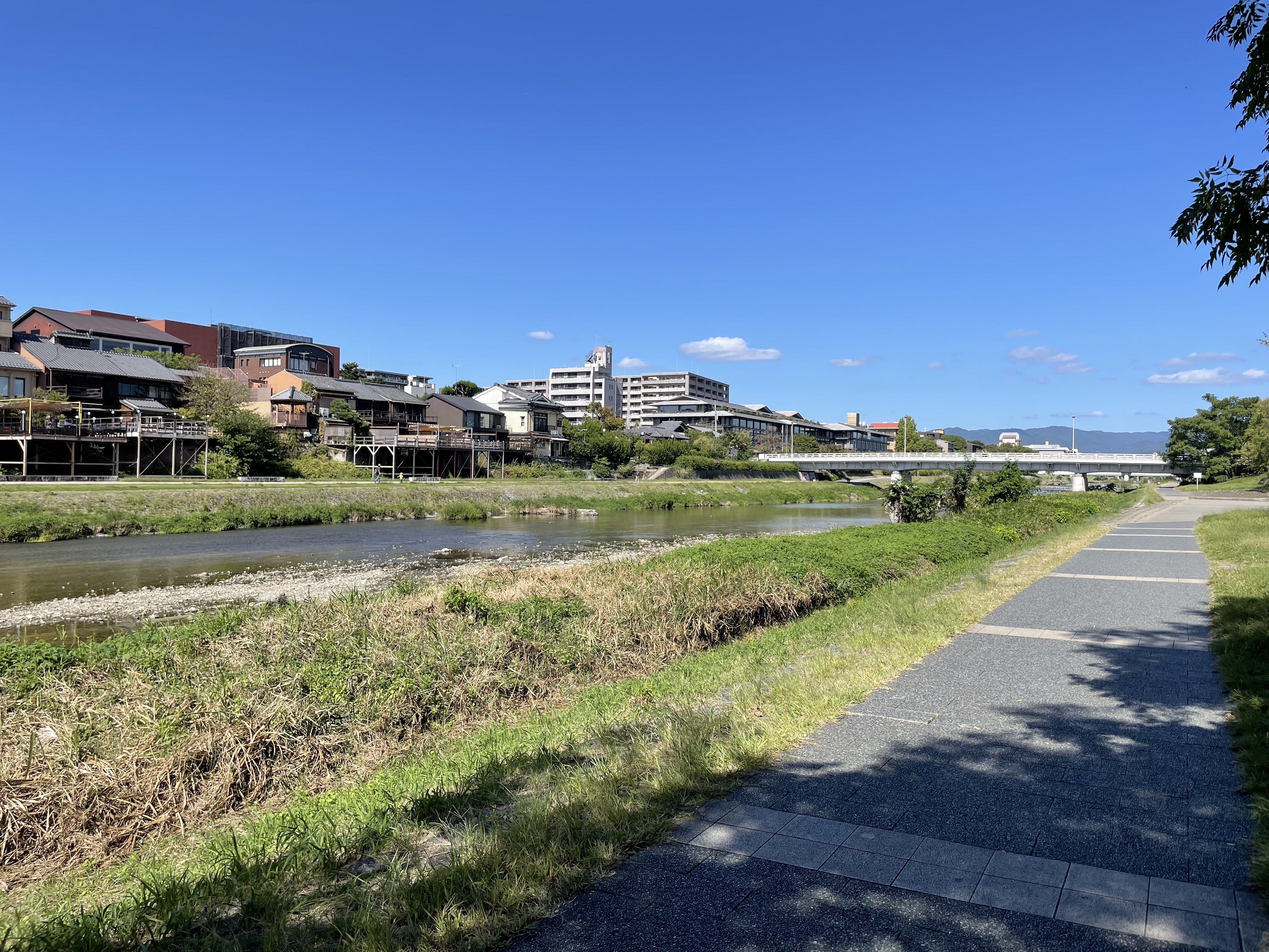 Kamo River
