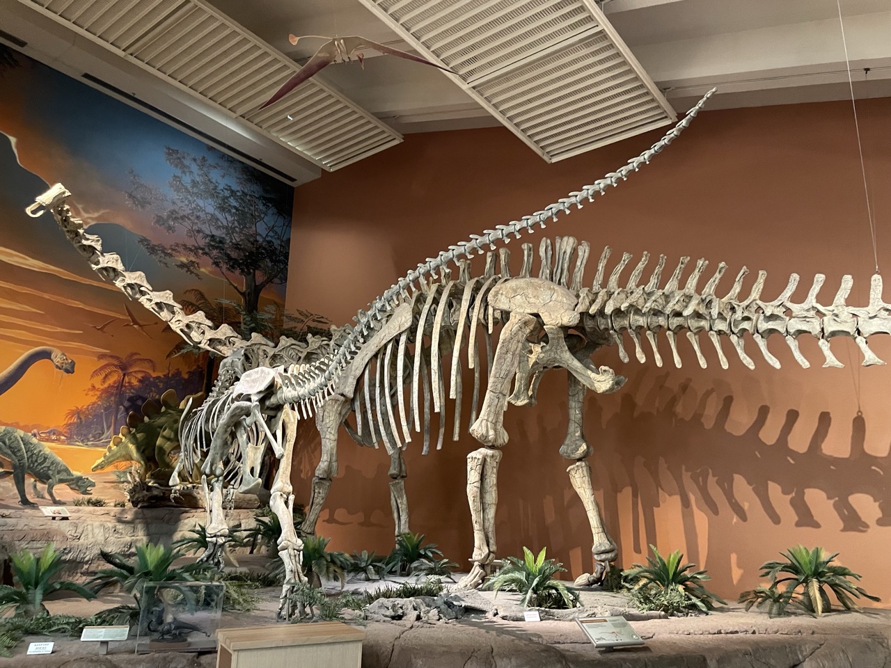 Dinosaur